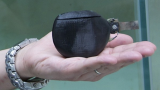 One Robot Fish to Rule Them All